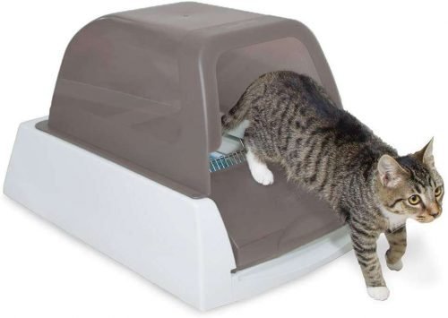 petsafPetSafe ScoopFree Automatic Self-Cleaning Cat Litter Boxese