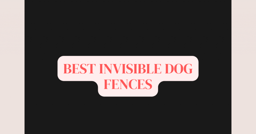 best invisible dog fences