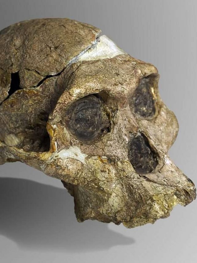 Humans might've roamed Earth earlier than thought!